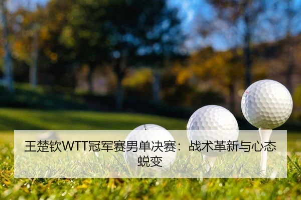 王楚钦WTT冠军赛男单决赛：战术革新与心态蜕变